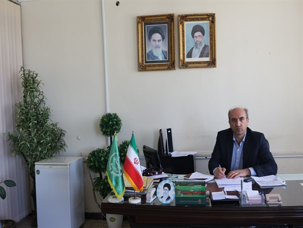 برداشت محصول کشاورزی سیر برای اولین بار در چالدران