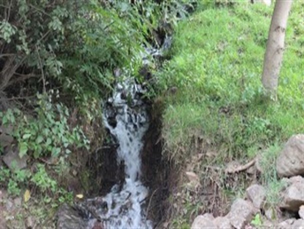 ناتر؛ روستایی در مه /تصاویر