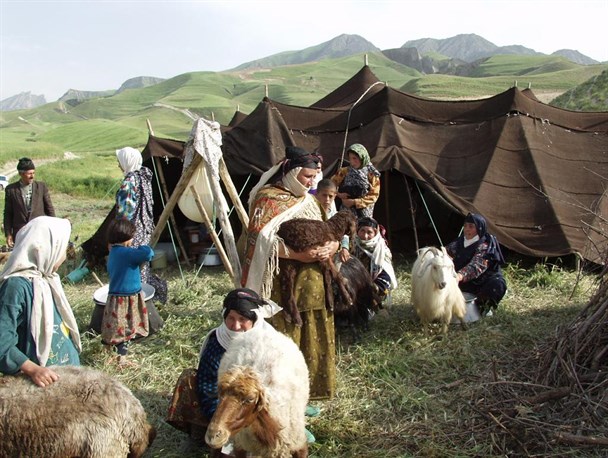 تولید 20درصد از گوشت قرمز شهرستان دراختیار عشایر می باشد