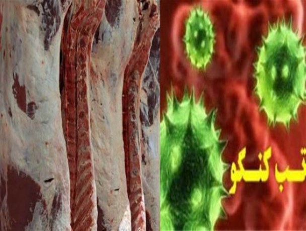 قصاب خاشی، به تب "کریمه کنگو" مبتلا شد/ شهروندان گوشت قرمز را از مراکز مجاز و بهداشتی تهیه کنند
