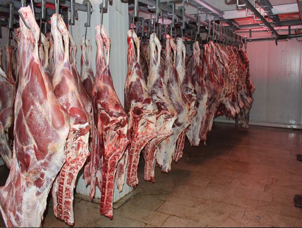 افزایش مجدد قیمت گوشت قرمز/ صادرات دام سنگین علت گرانی گوشت است