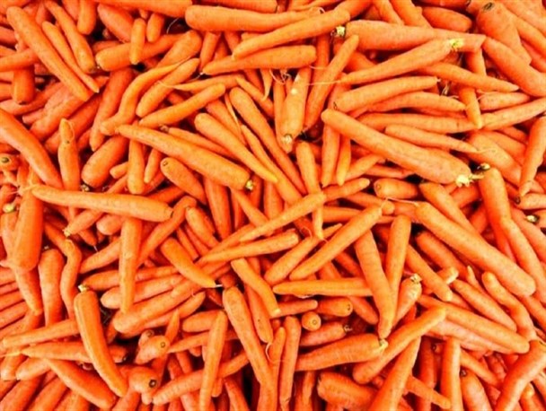 تداوم گرانی هویج در بازار/ قیمت ۴۰ هزار تومانی داد خریداران را در آورده است