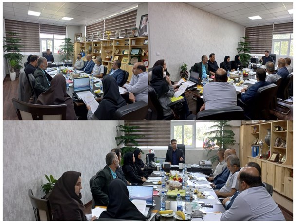 نشست هیئت رئیسه فدراسیون هندبال برگزار شد