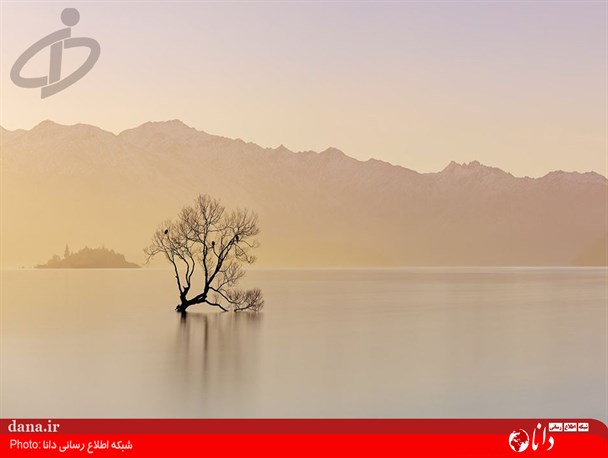 گزارش تصویری/ زیباترین تصاویر روز