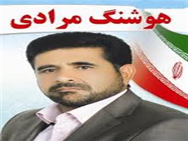 تضارب افکار دال بر اختلاف اعضای شورا نیست