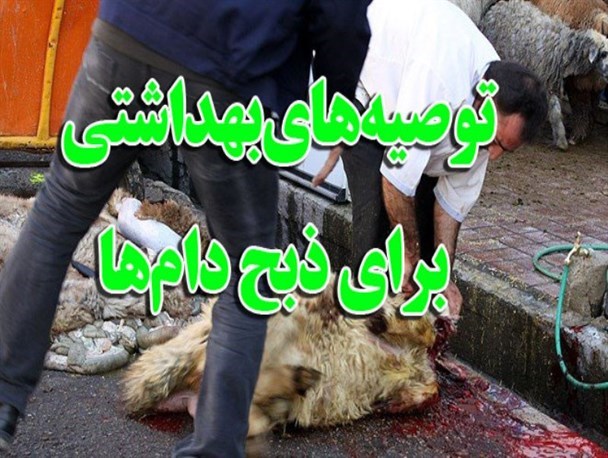 آماده باش اکیپ های دامپزشکی رضوانشهر برای ذبح شرعی دام در عید قربان
