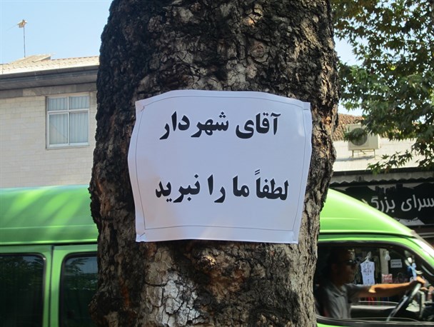 حفظ درختان جنگل با توسعه دولت الکترونیکی