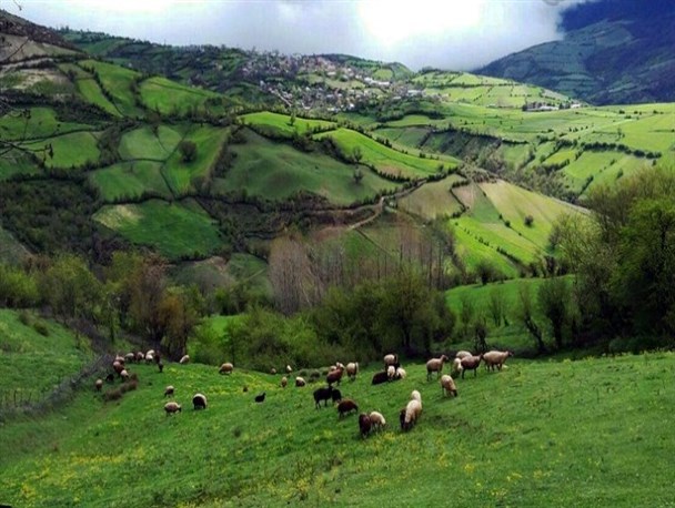 زیبایی‌های روستای کچپ‌ محله هزارجریب نکا