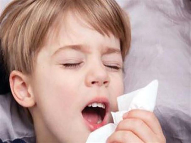 مصرف هویج پخته و میوه های تازه از سرما خوردگی پاییز جلوگیری می کند
