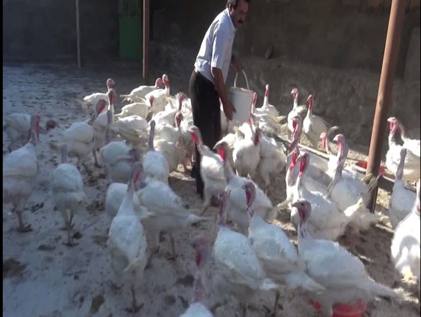 کارگاهی خانگی که مالکش را پس از 20سال به زادگاهش برگرداند