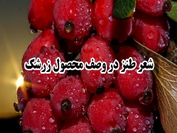 شعر طنز از واقعیت های نگفته‌ زرشک داران