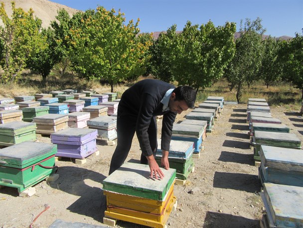 ایجاد اشتغال پایدار برای ۲۲۵ نفر ماهنشانی+تصاویر