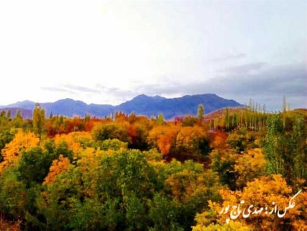 فصل رنگها در رابر