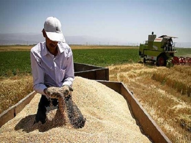 بدقولی دولت باز هم دست کشاورزان اردبیل را خالی گذاشت