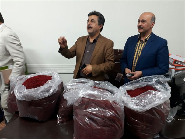 خرید توافقی زعفران آغاز شد