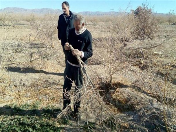 باغداران خسارت دیده در صف دریافت تسهیلات/تخصیص ۳.۵ میلیون مترمکعب برای کشت پائیزه به کشاورزان ساوجی