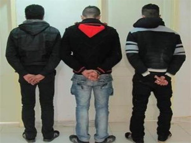 دستگیری ۸ سارق با ۱۳ فقره سرقت در چهارمحال و بختیاری