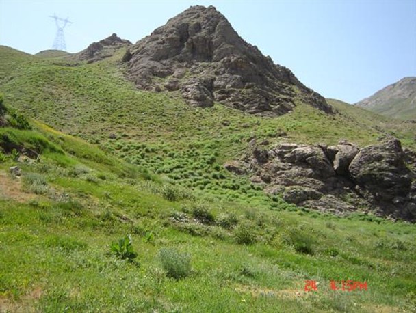 تعاونی مرتع داران مهریز تشکیل خواهد شد