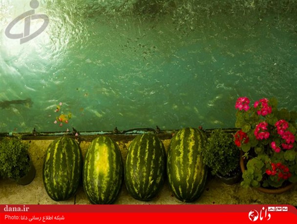 گزارش تصویری/ اینجا ایرانه