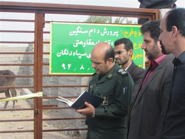 افتتاح سه طرح اقتصادمقاومتی در دلگان + گزارش تصویری