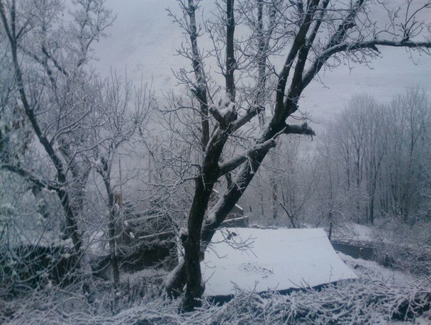 روستای قاضی چاک اشکور سفید پور شد +عکس