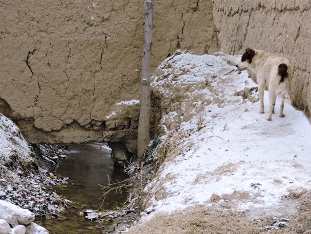 تصاویری زیبا از بارش اولین برف پاییزی در روستای جلفان شهرستان درگز