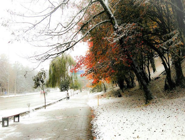 آخرین خبرها از بارش نخستین برف پاییزی در گلستان/ از عدم تعطیلی مدارس تا یخ زدن هواپیما در گرگان+گزارش تصویری