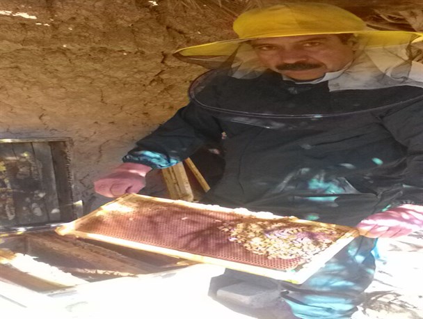 بودجه نداریم،برنامه نداریم پاسخ مسئولین است/دولت کمک کند زمینه اشتغال 20 نفر در پرورش زنبور ایجاد می کنم