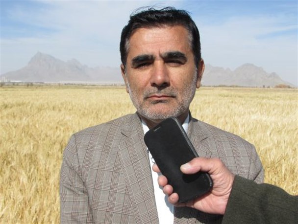 بهترین"محصول جو" سیستان و بلوچستان از اراضی خاش برداشت می شود/ برداشت بیش از ۳ هزار تن جو در شهرستان خاش
