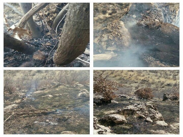 آتش سوزی در آسمان آباد چرداول+ تصاویر
