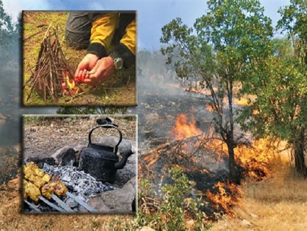 رخت سیاه بر تن طلای سبز گلستان/ تکرار سهل‌انگاری انسانی بلای جان طبیعت