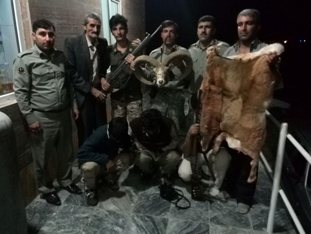 شکارچیان قوچ وحشی در ازنا به دام محیط بانان افتادند