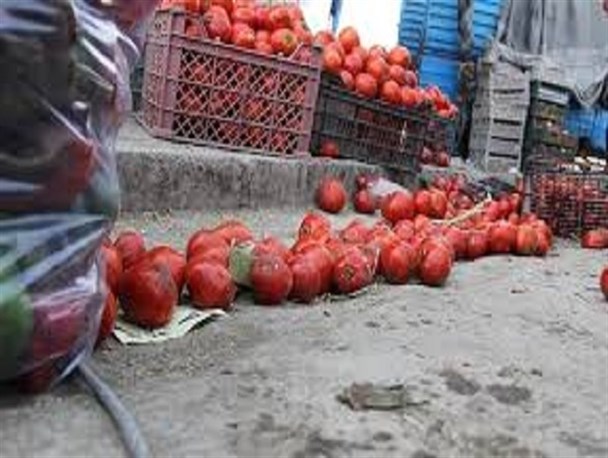 جای خالی نظارت در الگوی کشت/از کمبود برخی محصولات کشاورزی تا دسترنجی که روی دست کشاورزان می‌ماند