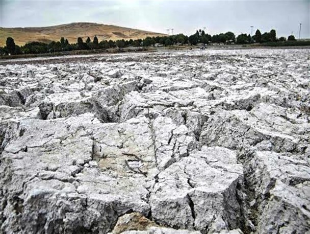 چشم نیلی کرمانشاه کم سو شد/ تلاش برای احیای نیلوفرانه ها