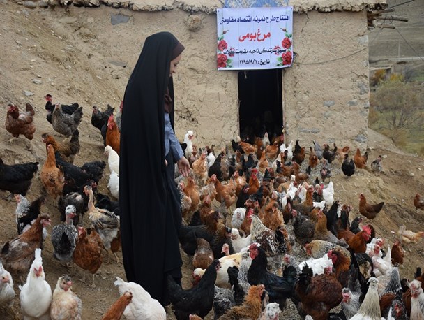 ظرفیت‌ها و پتانسیل‌های موجود باید در راستای اقتصاد مقاومتی استفاده شوند