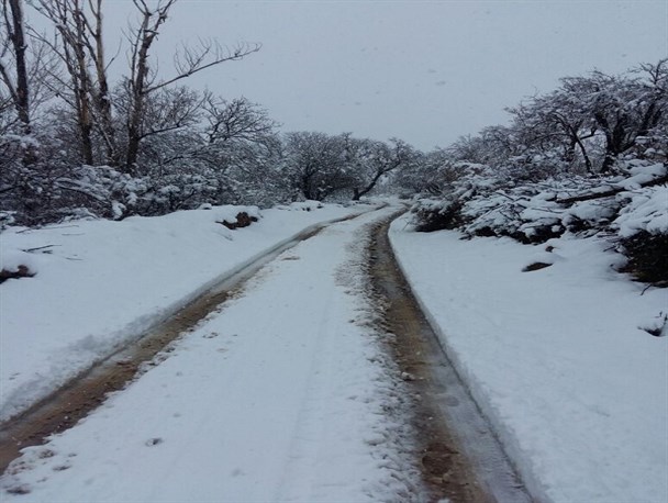 طبیعت برفی روستای دوراه بوانات + تصاویر