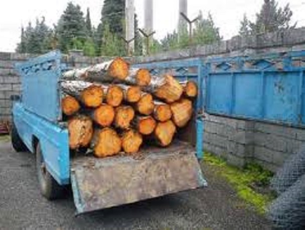 کشف و ضبط  ۱۵ اصله چوب جنگلی قاچاق در رودسر