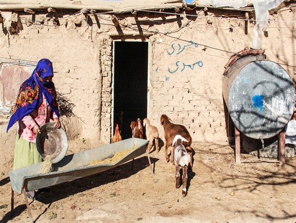 مردم روستای قزلقان چشم انتظار بهرمندی از نعمت گاز / وقتی مردم این روستا آب آلوده مصرف می‌کنند