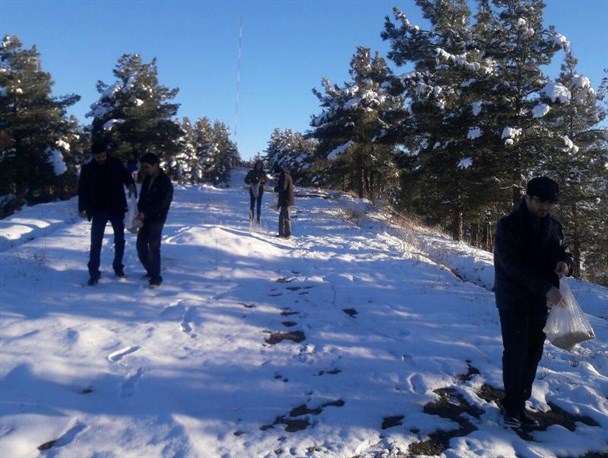 کمک به پرندگان حیات وحش، توسط بسیجیان درگزی+تصاویر
