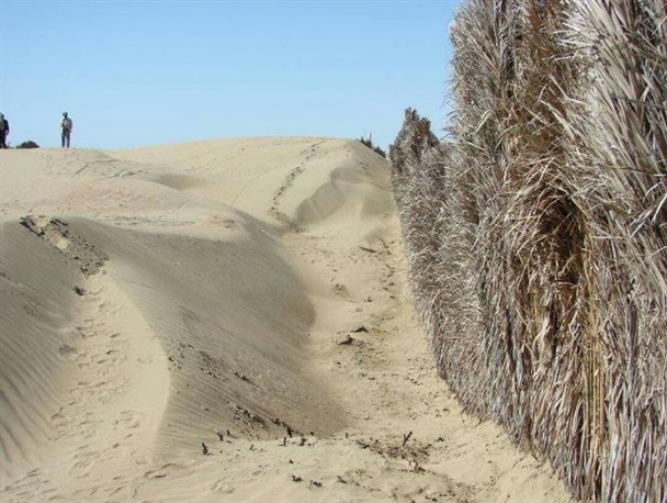 هجوم شن های روان به روستایی در سیریک/کندال زیر شن‌ها دفن می شود+تصاویر