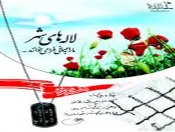 ثبت نام دانشگاه تربیتی،بصیرتی شهدای بشرویه/ دوره اول
