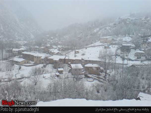 بهار زمستانی در ارتفاعات رامسر / عکس