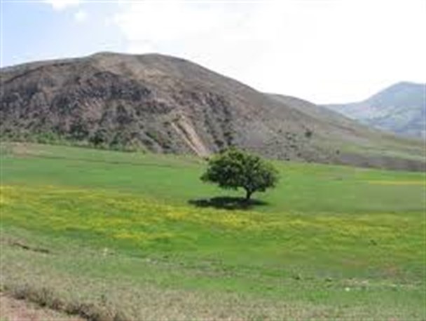 "املش" عروس ناشناخته گیلان