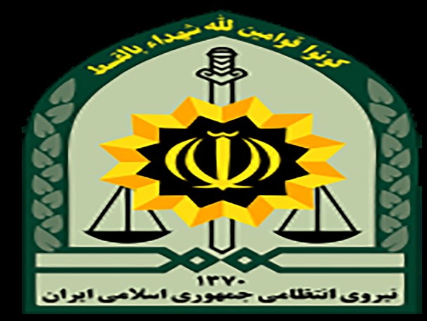 سرقت در رزن 21 کاهش یافت