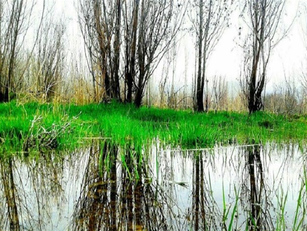 طبیعت زیبای قلعه شیخ  در تویسرکان