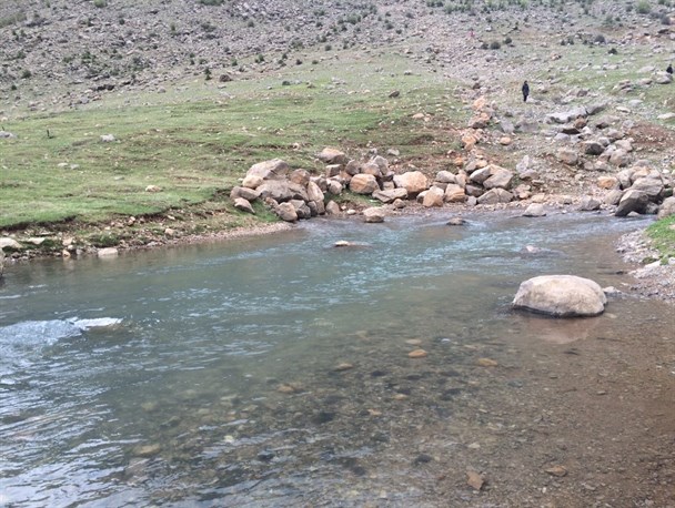طبیعت زیبای بهاری "برناج"