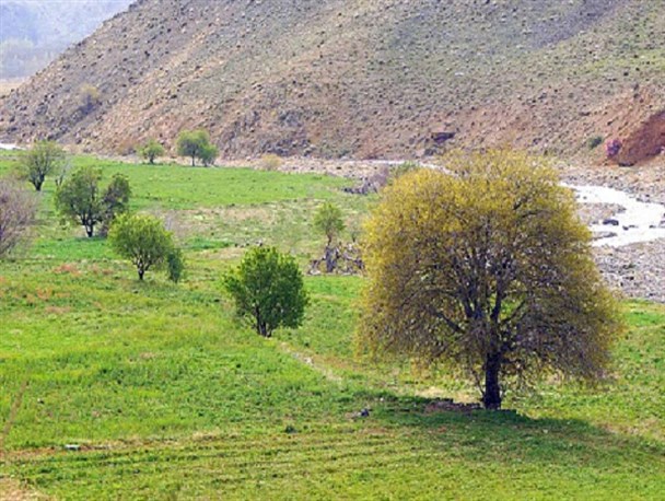 بخش زالیان شازند، مأمن غارها و سرابهای دیدنی