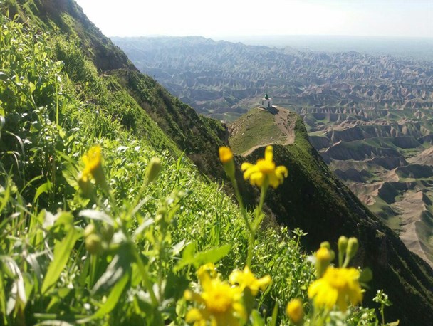 مجموعه زیارتی خالد نبی(ع) در جذب گردشگر بی نظیر است+تصاویر