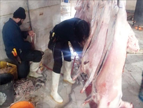 افزایش نگرانی‌ها از نحوه رعایت مسایل بهداشتی در کشتارگاه قدیمی تربت حیدریه/ نهادهای مسئول پاسکاری می‌کنند