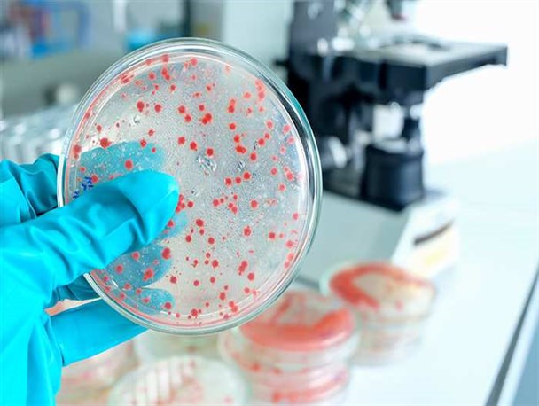 لزوم بومی‌سازی سیاست‌ها در خصوص کرونا